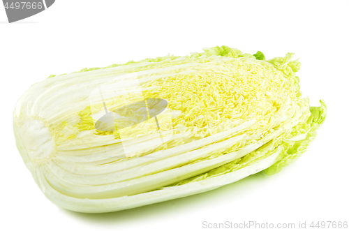 Image of Napa cabbage isolated 