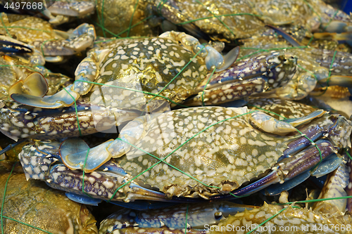 Image of Sale of fresh crabs 