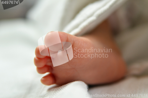 Image of Cute baby feet