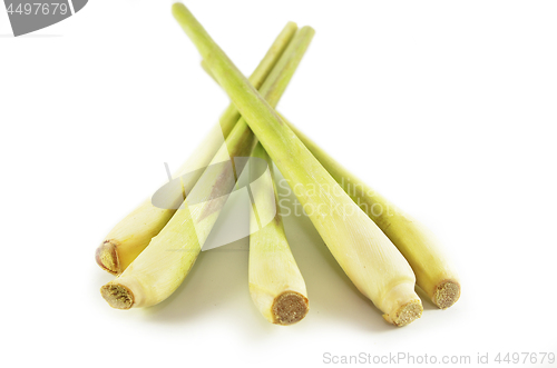 Image of Fresh lemon grass