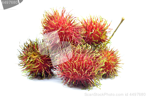 Image of Ripe rambutan isolated 