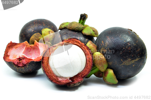 Image of Ripe mangosteen fruit isolated