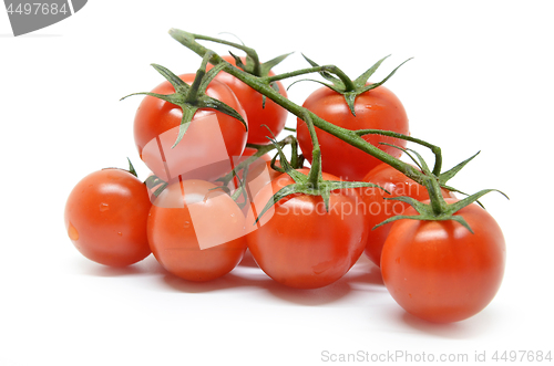 Image of Red cherry tomato