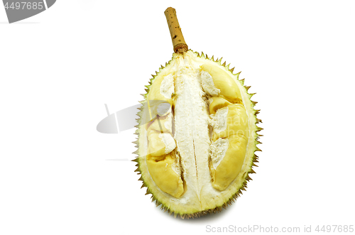 Image of Durian fresh isolated 