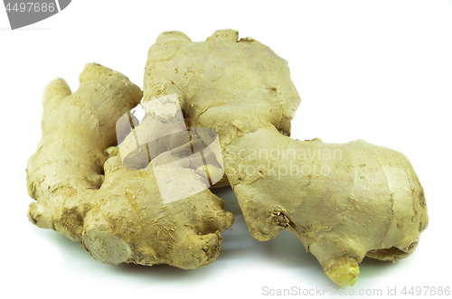 Image of Ground ginger root isolated