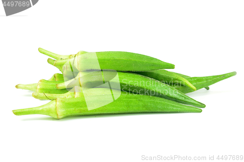 Image of Green okra isolated