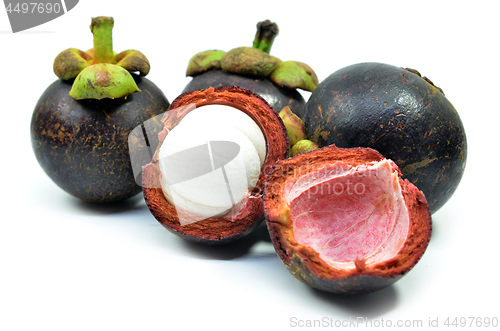 Image of Ripe mangosteen fruit isolated