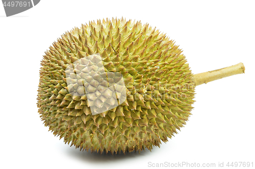 Image of Fresh durian on isolate white background