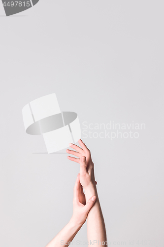 Image of Elegant hands on neutral background