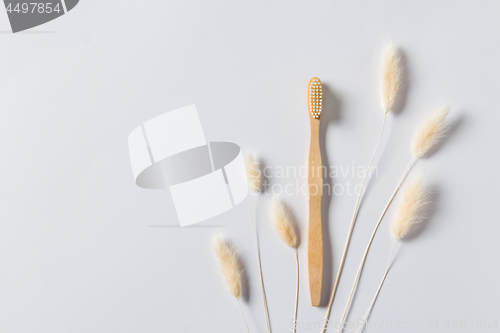 Image of Wooden toothbrush and grass ears