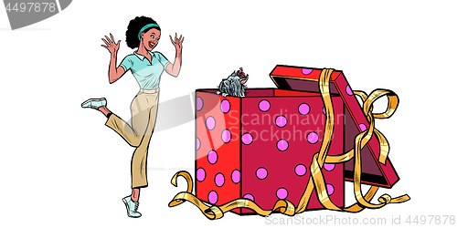Image of dog puppy holiday gift box. African woman funny reaction isolate on white background