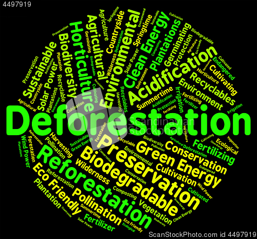 Image of Deforestation Word Shows Cut Down And Clear