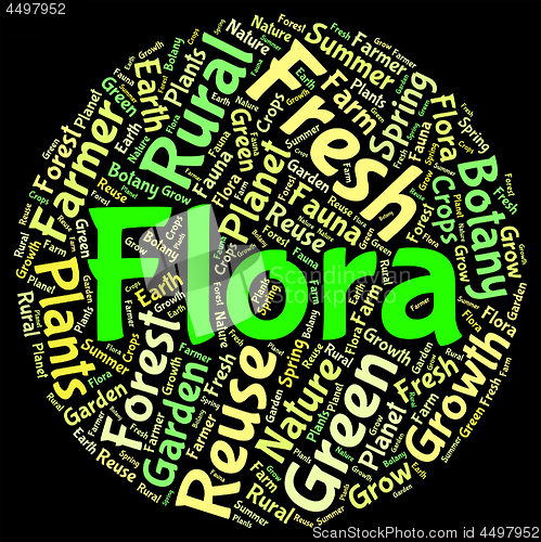 Image of Flora Word Represents Plant Life And Area