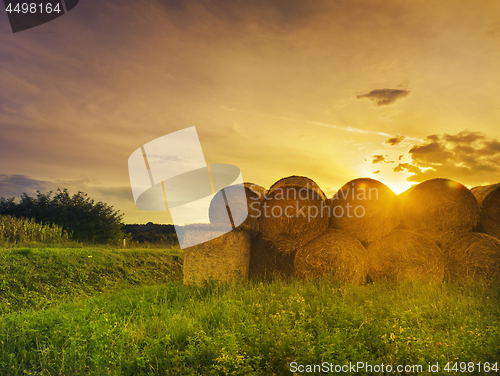 Image of Hay Bales