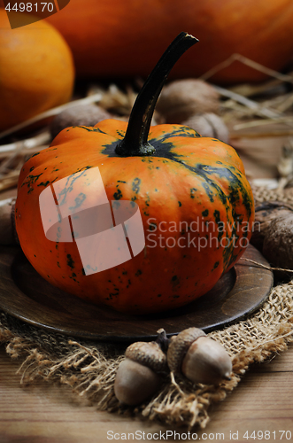 Image of Pumpkin