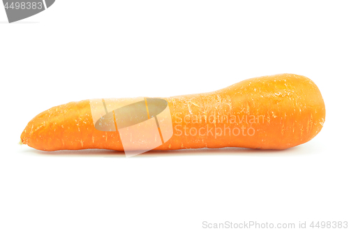 Image of Whole orange carrot isolated