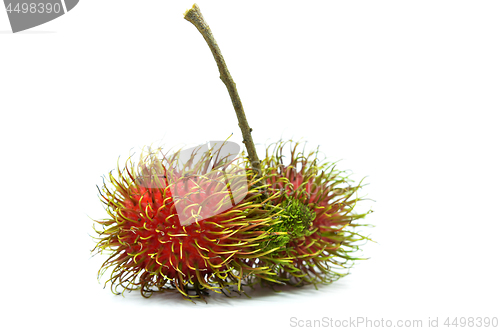 Image of Ripe rambutan isolated