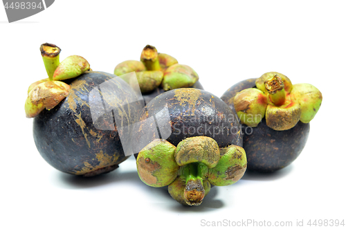 Image of Ripe mangosteen fruit isolated