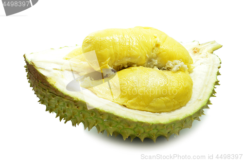Image of Durian fresh isolated