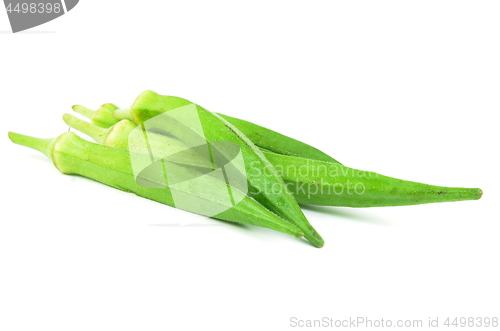 Image of Green okra isolated