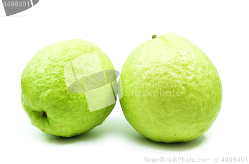 Image of Green guava isolated