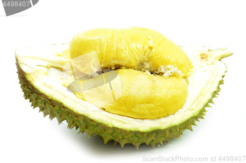 Image of Durian fresh isolated