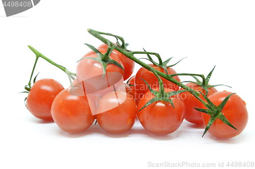 Image of Red cherry tomato