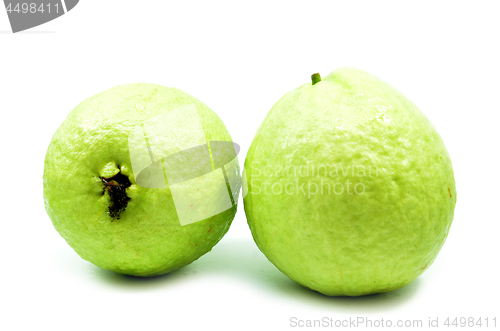 Image of Green guava isolated