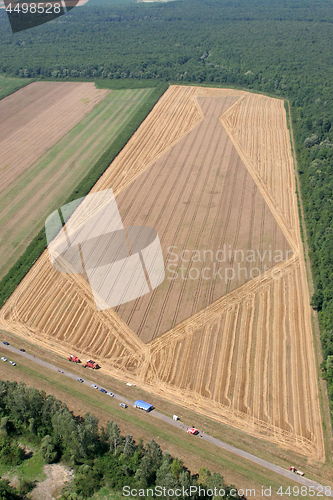 Image of Aerial View: Golden Wheat field