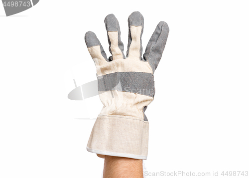 Image of Male hand wearing working glove