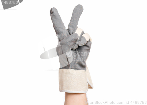 Image of Male hand wearing working glove