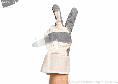 Image of Male hand wearing working glove