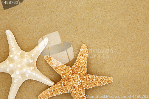 Image of Starfish Seashells on Beach Sand