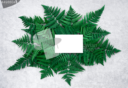Image of Blank card and dark green fern leaves on concrete surface