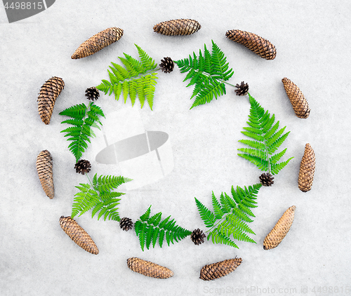 Image of Round frame made of conifer cones and wild forest fern 