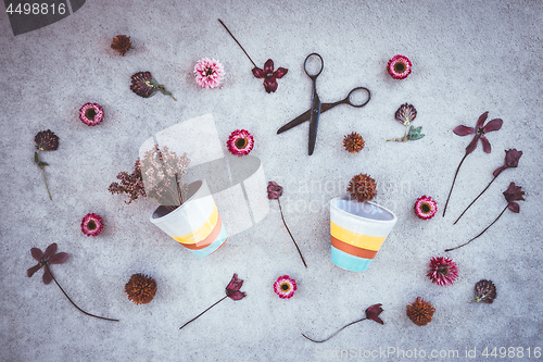 Image of Flowers and flowerpots on dark concrete background