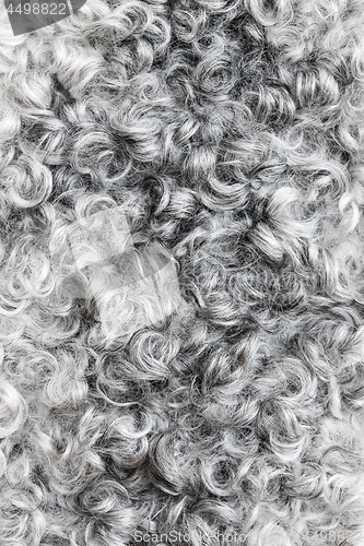 Image of Gray sheepskin background