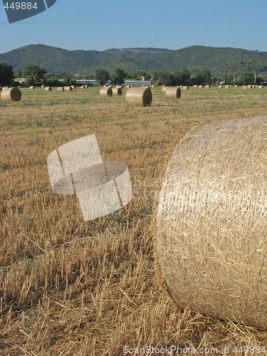 Image of hayrolls