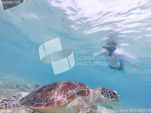 Image of People on vacations wearing snokeling masks swimming with sea turtle in turquoise blue water of Gili islands, Indonesia. Underwater photo.