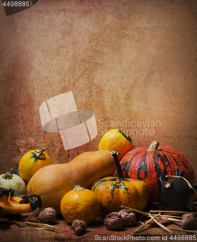 Image of Autumn