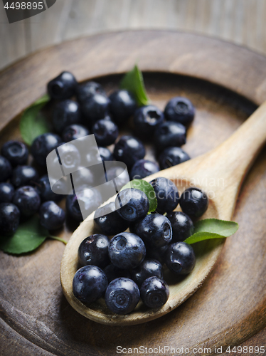 Image of Blueberry