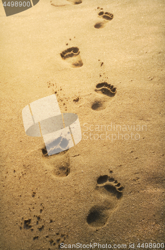 Image of Footprints in the sand