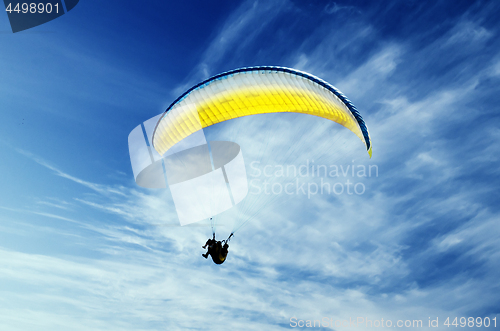 Image of Paraglider