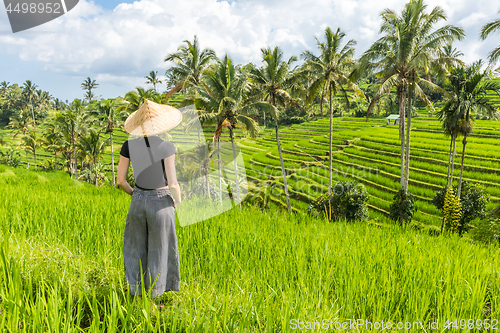 Image of Relaxed fashionable caucasian female tourist wearing small backpack and traditional asian paddy hat looking at beautiful green rice fields and terraces on Bali island