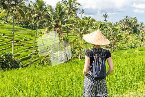 Image of Relaxed fashionable caucasian female tourist wearing small backpack and traditional asian paddy hat looking at beautiful green rice fields and terraces on Bali island