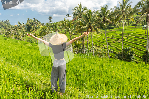 Image of Relaxed fashionable female traveler wearing small backpack and traditional asian paddy hat, arms rised to sky, enjoying pure nature at beautiful green rice fields and terraces on Bali island