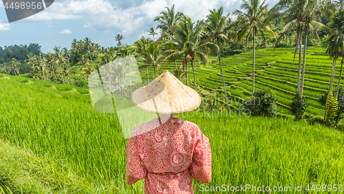 Image of Relaxed fashionable caucasian woman wearing red asian style kimono and traditional asian paddy hat looking at beautiful green rice fields and terraces on Bali island