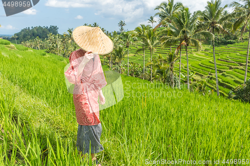 Image of Relaxed fashionable caucasian woman wearing red asian style kimono and traditional asian paddy hat walking amoung beautiful green rice fields and terraces on Bali island