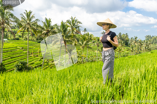 Image of Relaxed fashionable caucasian female tourist wearing small backpack and traditional asian paddy hat walking among beautiful green rice fields and terraces on Bali island