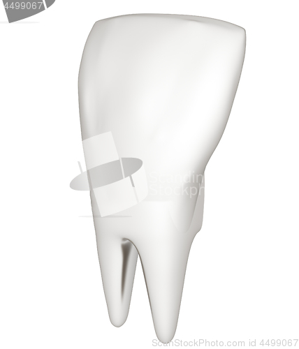 Image of Tooth. 3d illustration